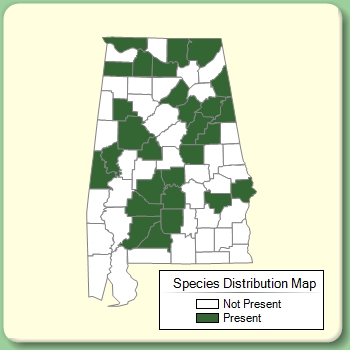 Species Distribution Map