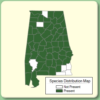 Species Distribution Map