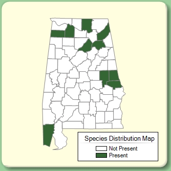 Species Distribution Map