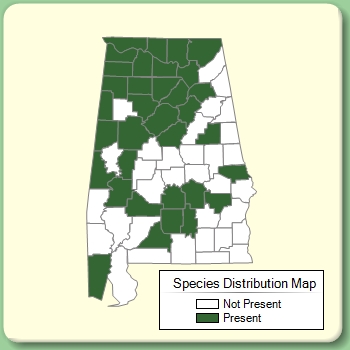 Species Distribution Map