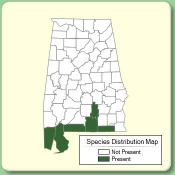 Species Distribution Map