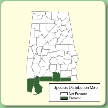 Species Distribution Map