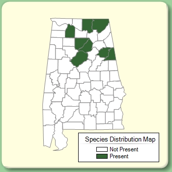 Species Distribution Map