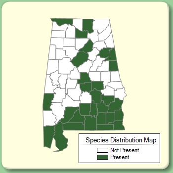 Species Distribution Map