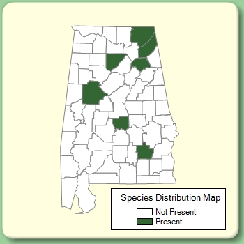 Species Distribution Map