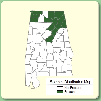 Species Distribution Map