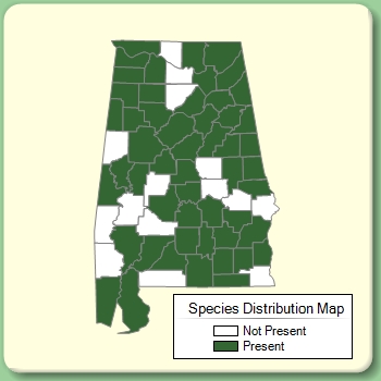 Species Distribution Map