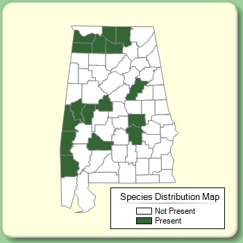 Species Distribution Map