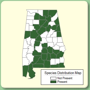 Species Distribution Map