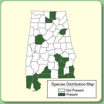 Species Distribution Map