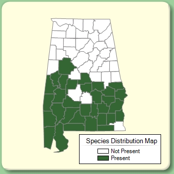 Species Distribution Map