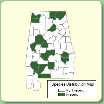 Species Distribution Map