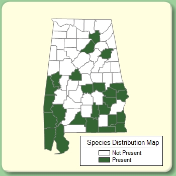 Species Distribution Map