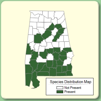 Species Distribution Map