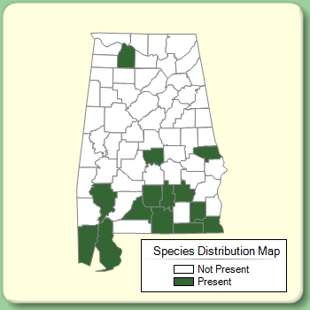 Species Distribution Map