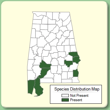 Species Distribution Map