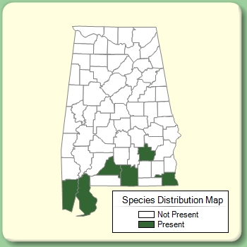 Species Distribution Map