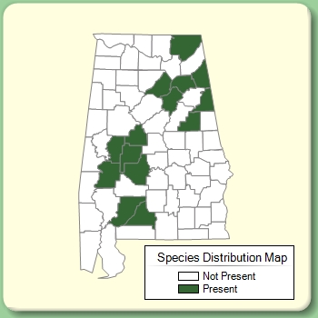 Species Distribution Map