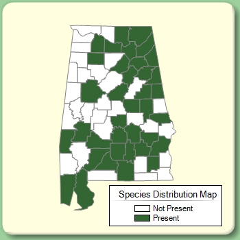 Species Distribution Map