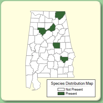 Species Distribution Map