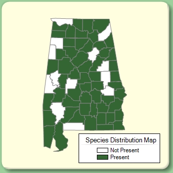 Species Distribution Map