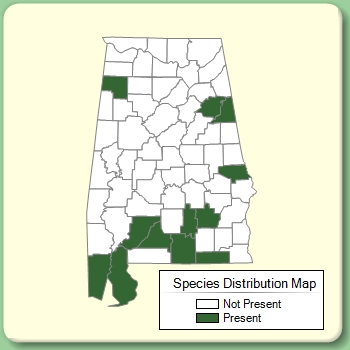 Species Distribution Map