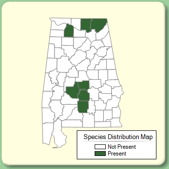 Species Distribution Map