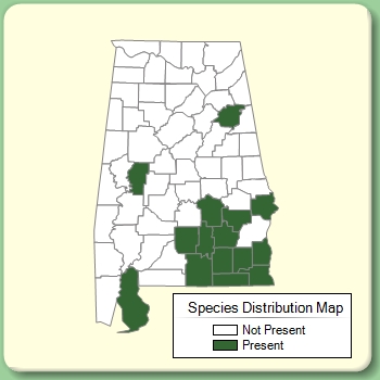 Species Distribution Map