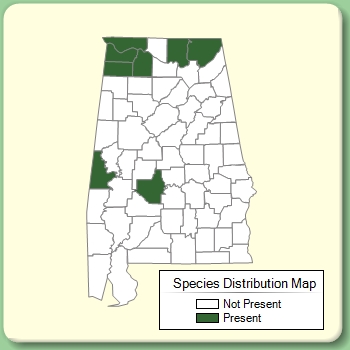 Species Distribution Map