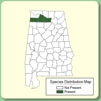 Species Distribution Map