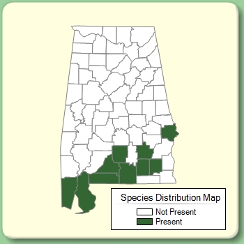 Species Distribution Map