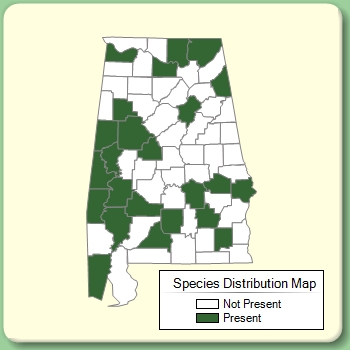 Species Distribution Map