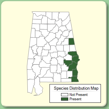 Species Distribution Map