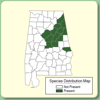 Species Distribution Map