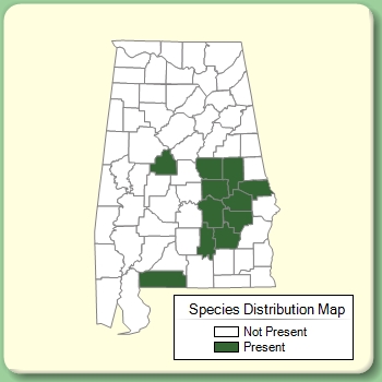 Species Distribution Map