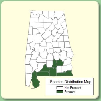 Species Distribution Map