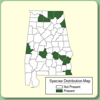 Species Distribution Map