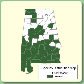 Species Distribution Map