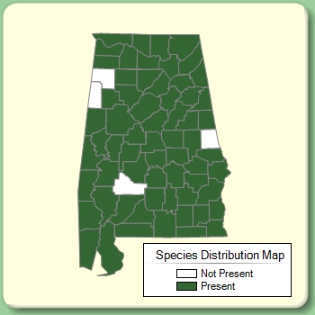 Species Distribution Map