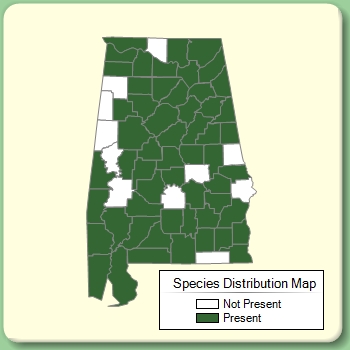 Species Distribution Map