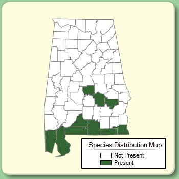 Species Distribution Map