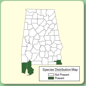 Species Distribution Map