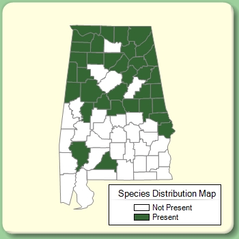 Species Distribution Map