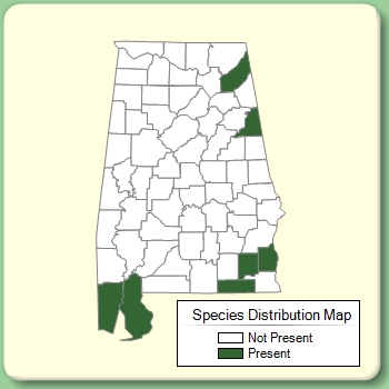 Species Distribution Map