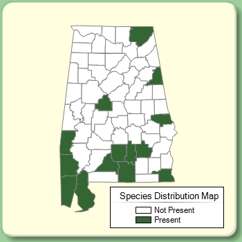 Species Distribution Map