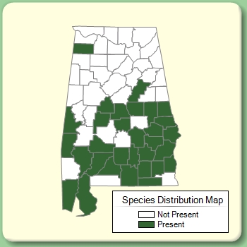 Species Distribution Map