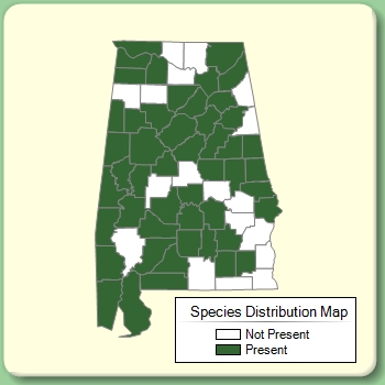 Species Distribution Map