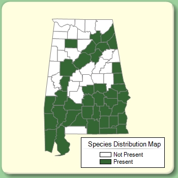 Species Distribution Map