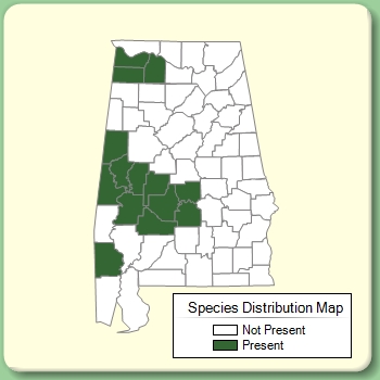 Species Distribution Map