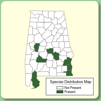 Species Distribution Map